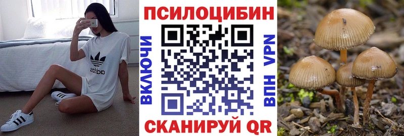 где купить Батайск Галлюциногенные грибы мицелий